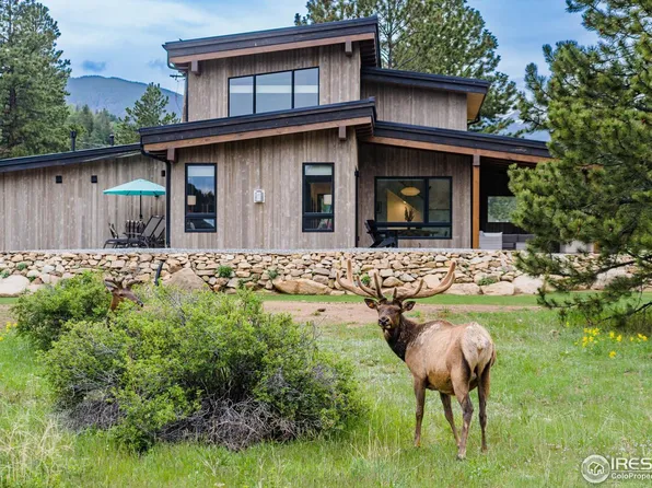 2774 Ypsilon Cir, Estes Park, CO 80517
