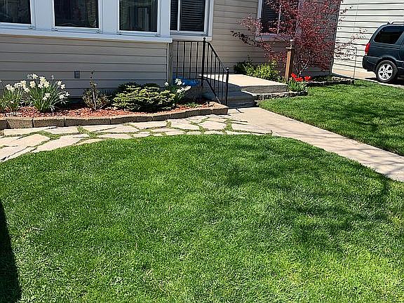 Lawn