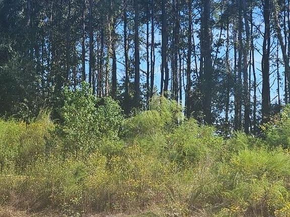 2nd image of 2055 Road 5913
