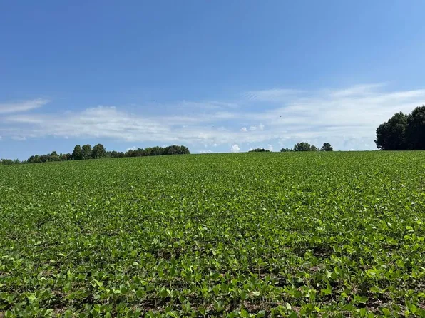 Baskerville Rd, Baskerville, VA 23915