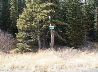 411 Kimmes Ln, Breckenridge, CO 80424