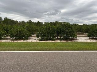 Lake Buffum Rd S, Fort Meade, FL 33841