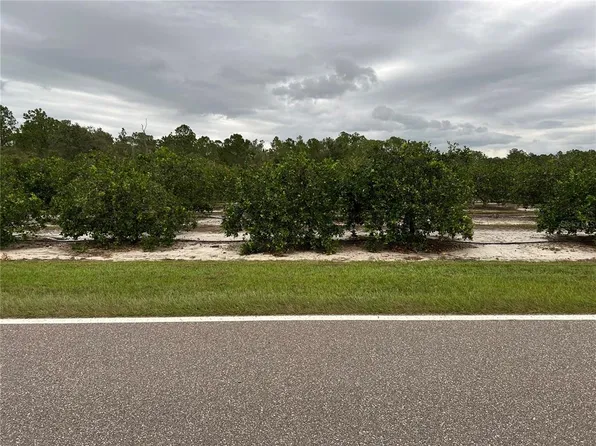 Lake Buffum Rd S, Fort Meade, FL 33841