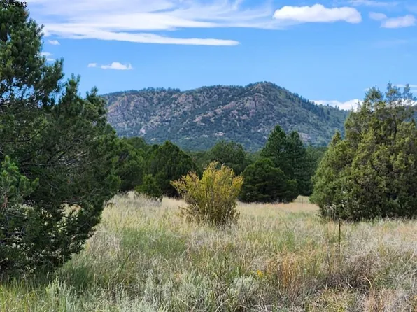1813 14th Trl, Cotopaxi, CO 81223