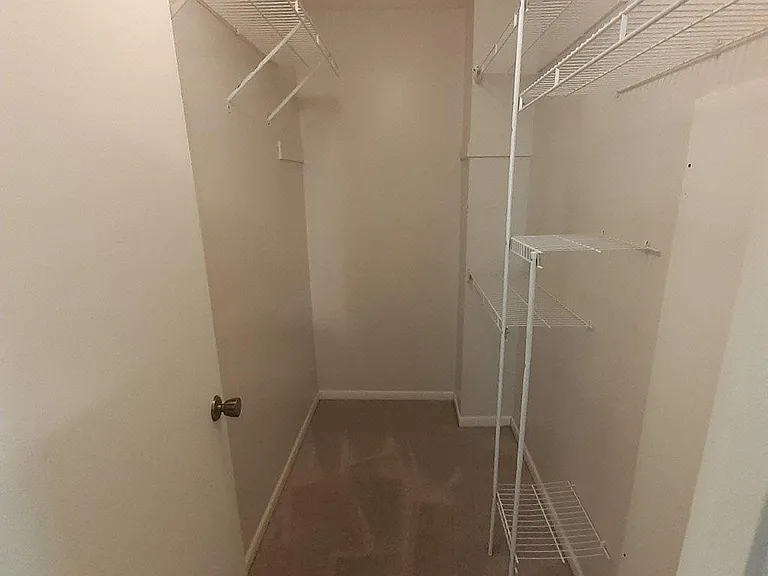 Primary bedroom walk in closet (main level)