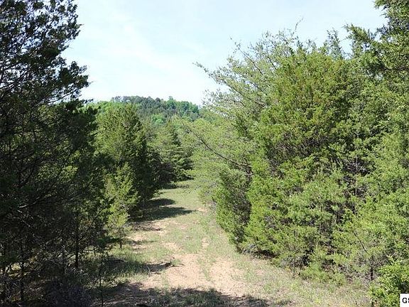 5th image of LOT 35 Buck Horn Rd Lot 35