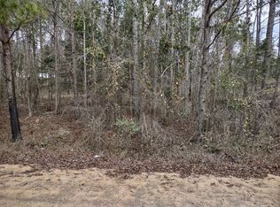 1667 Jimmy Wells Rd, Ellaville, GA 31806