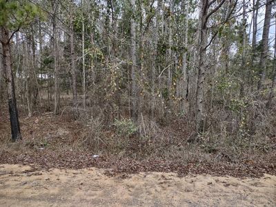 1667 Jimmy Wells Rd, Ellaville, GA, 31806