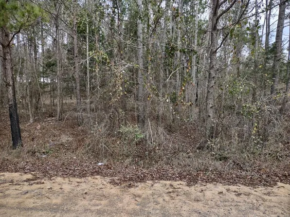 1667 Jimmy Wells Rd, Ellaville, GA 31806