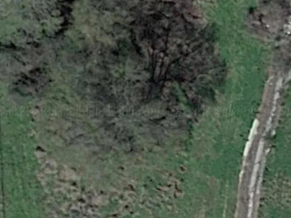 2215 Alabama Ave, Haleyville, AL 35565