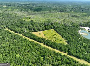 0 Hollow Point Trl, Kingsland, GA 31548