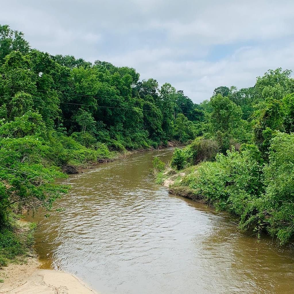 0 E Lexie Rd, Tylertown, MS 39667 MLS 138505 Zillow