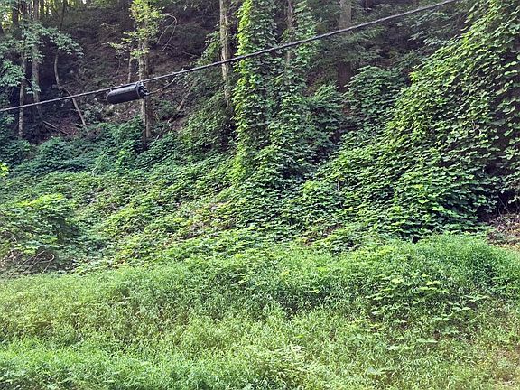 2nd image of 39 Black Walnut Flats Rd Lot 39