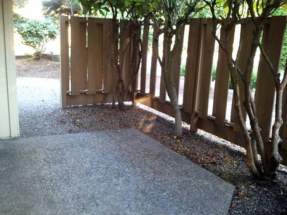 Patio 2