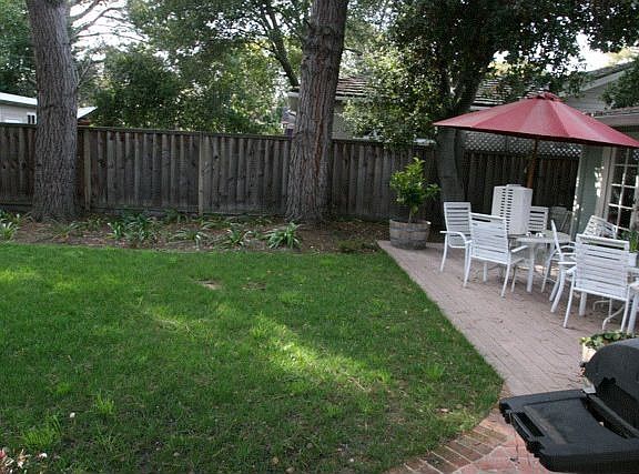 Back yard lawn.