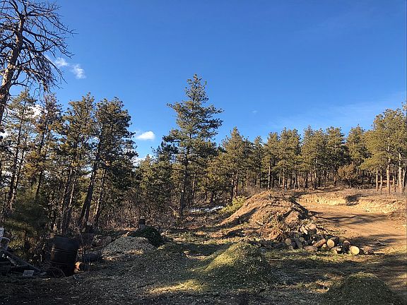 2nd image of 15111 Elk Mountain Trl