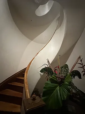 Rented by Bond New York | media 16