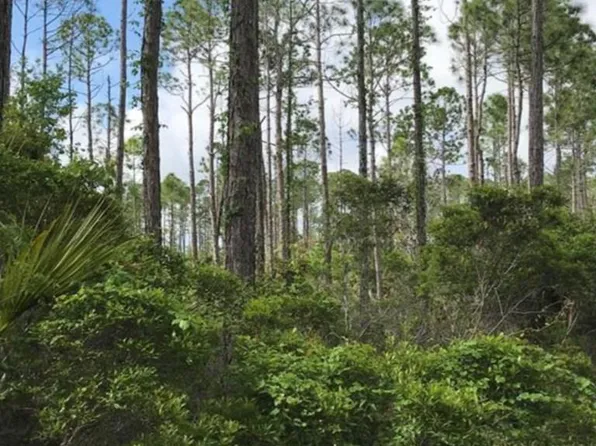 1073 State Road 65, Eastpoint, FL 32328