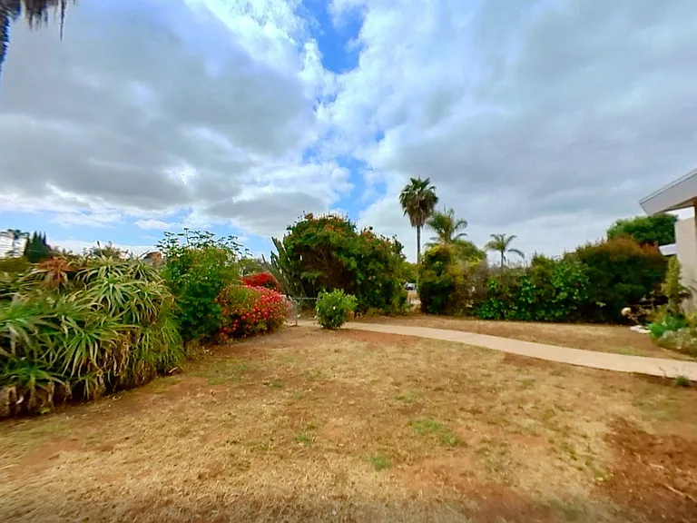 3874 Palo Dr — Photo 19