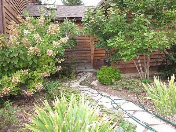 Driveway Perennials in September