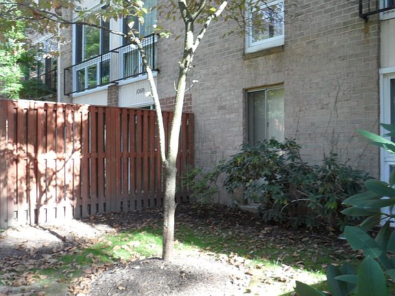 Side Yard