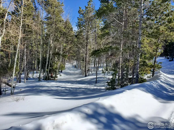 1025 Ottawa Way, Red Feather Lakes, CO 80545