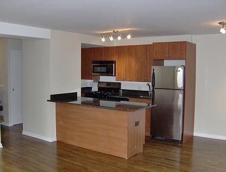 4th image of 3950 N Lake Shore Dr APT 1023