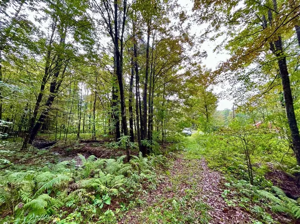 81 Bean Road, Plainfield, NH 03781