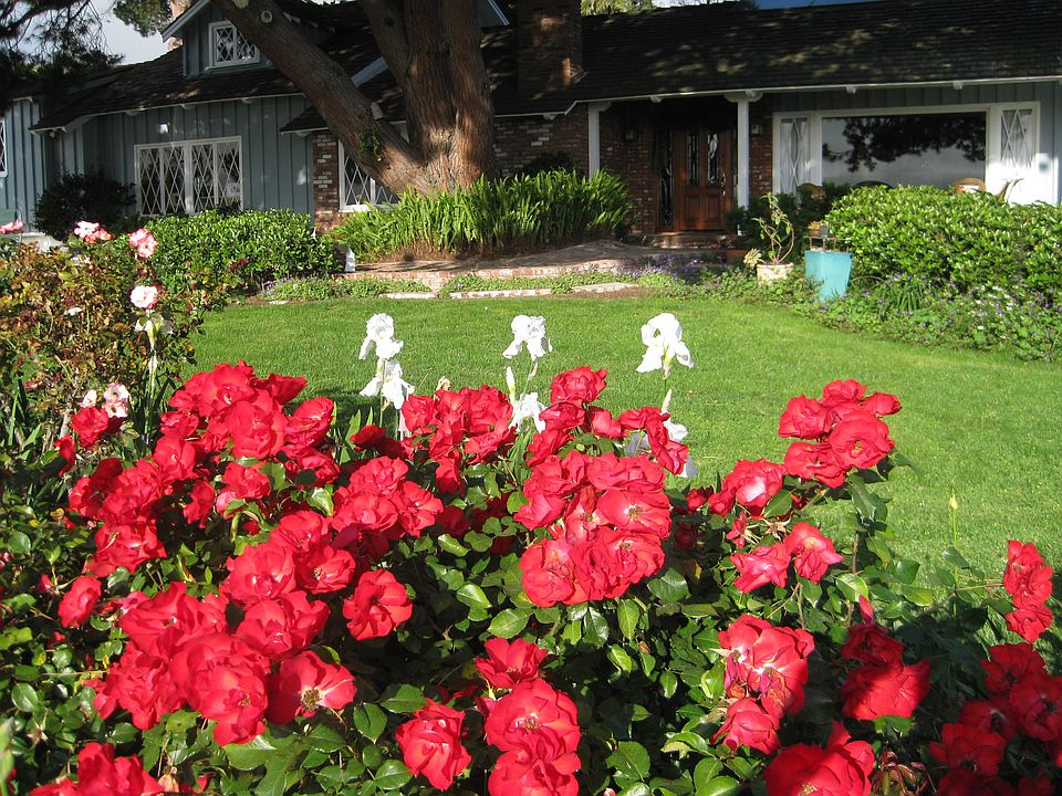 house from front garden