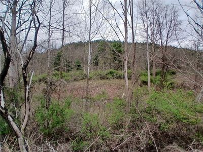 0 Caton Rd, Corning, NY, 14830