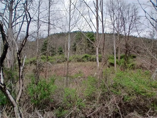 0 Caton Rd, Corning, NY 14830