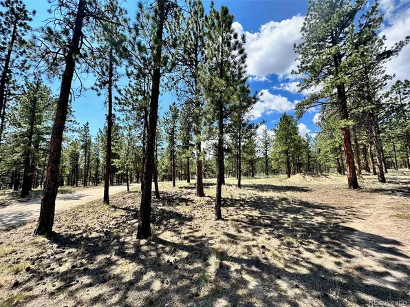 16035 Jay Bird Lane, Buena Vista, CO 81211