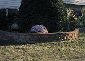 Decorative brick border