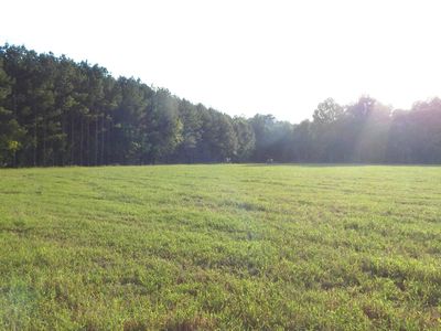 504 247 Country Rd, Bruce, MS, 38915