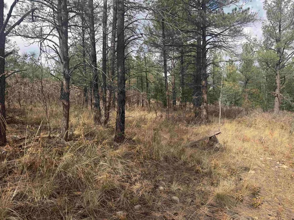 Summer Dr, Timberon, NM 88350