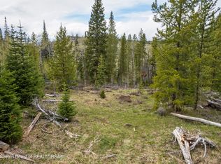 37 Wild Hog Dr, Dubois, WY 82513