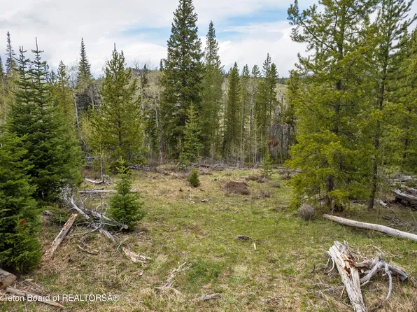 37 Wild Hog Dr, Dubois, WY 82513