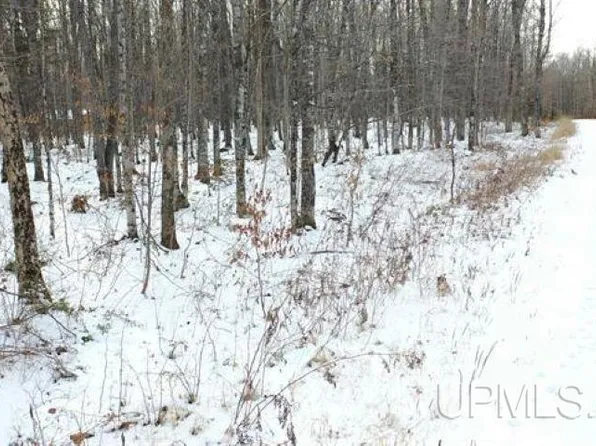 LOT 9 Elizabeth Rd, Iron River, MI 49935