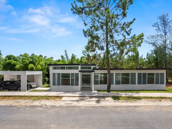 Reales De Beatriz C 25 Carr 1 Km #49.1, Cidra, PR 00739