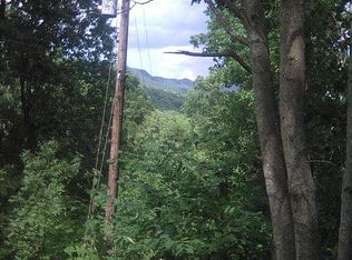 955 Keener Rd, Cosby, TN 37722