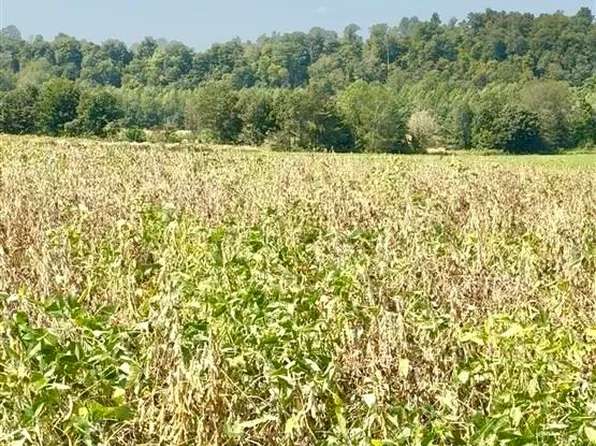 Green River Ln Lot 30A, Campbellsville, KY 42718
