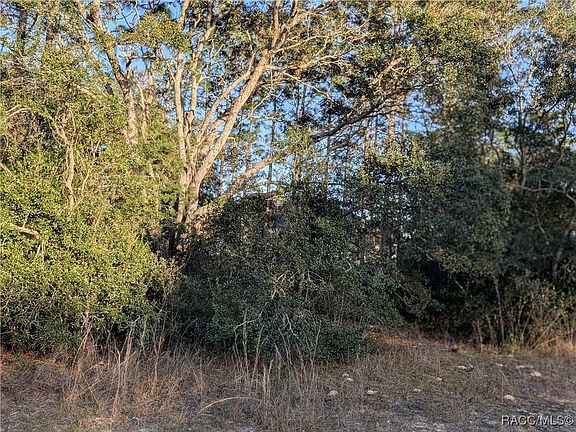5th image of 8949 N Lansen Way