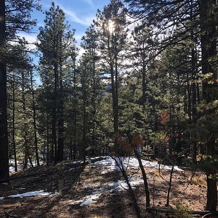 44 Alta Vis, Rociada, NM 87742 Zillow