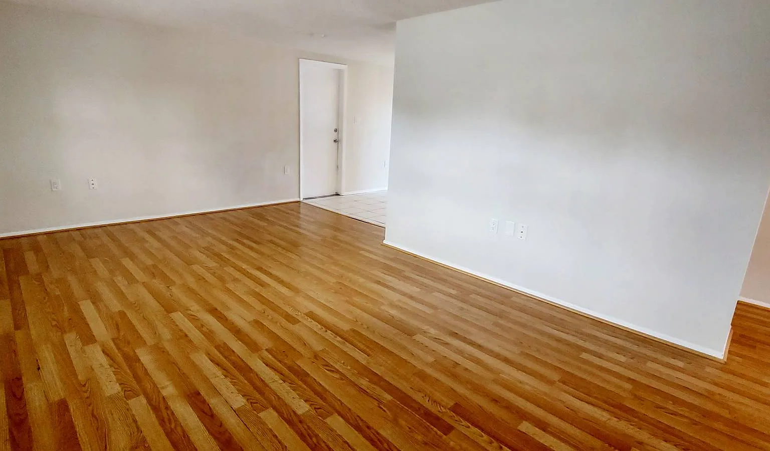 9031 Chantilly Lane - 1 — Photo 2
