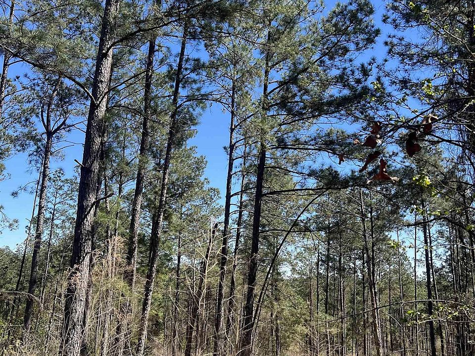 2nd image of 11-13-19 Ouachita Cres #183