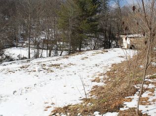 190 Coon Creek Rd, Camden On Gauley, WV 26208