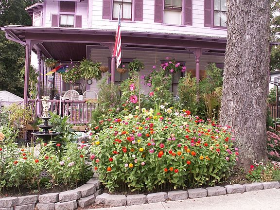 Fully amended organic soil makes the dwarf Zinias four feet tall.