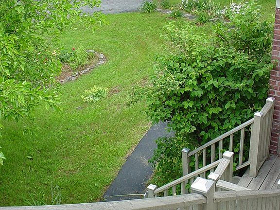 2nd floor apartment! Looking across the Orange bush and privacy trees to the parking pad.