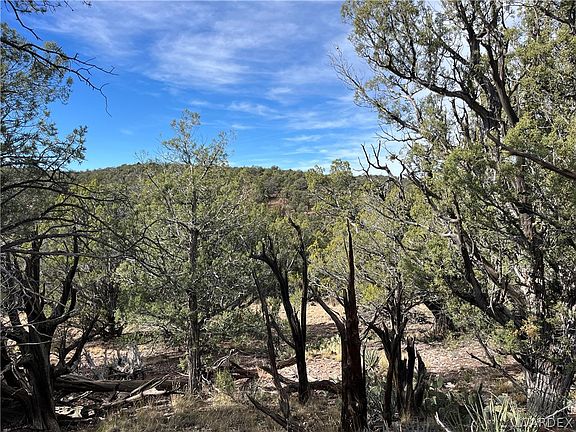 3rd image of 301-24 N Duffis Bluff Rd #325