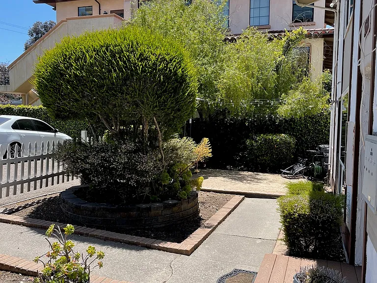 968 Walnut St #D — Photo 3
